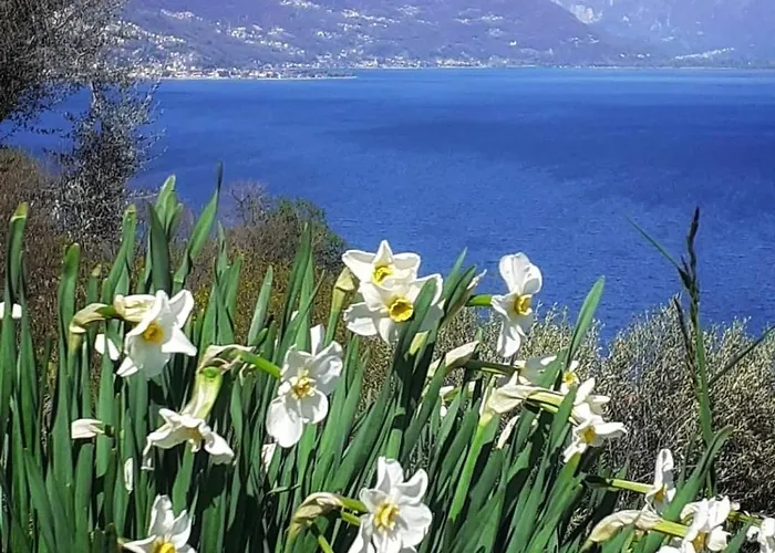 Holiday home Balcony On Pianello Pianello Del Lario