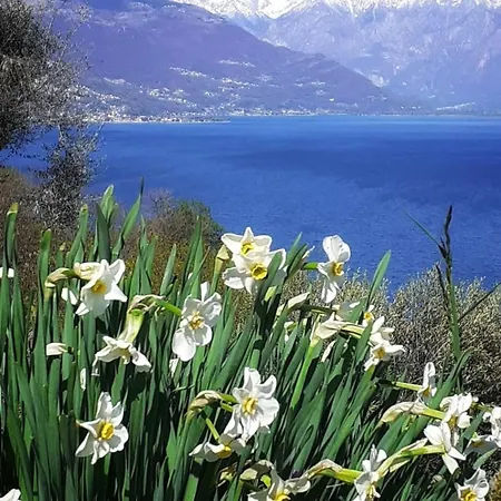 Vakantiehuis Balcony On Pianello Pianello Del Lario